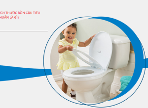 Kích thước bồn cầu Inax tiêu chuẩn, cập nhật mới nhất năm 2025