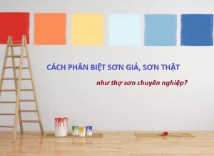 CÁCH NHẬN BIẾT SƠN GIẢ HAY THẬT