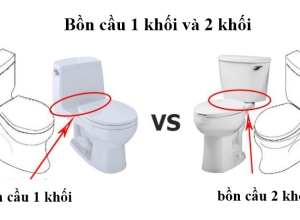 Nên chọn mua loại nào bồn cầu 1 khối và 2 khối ?